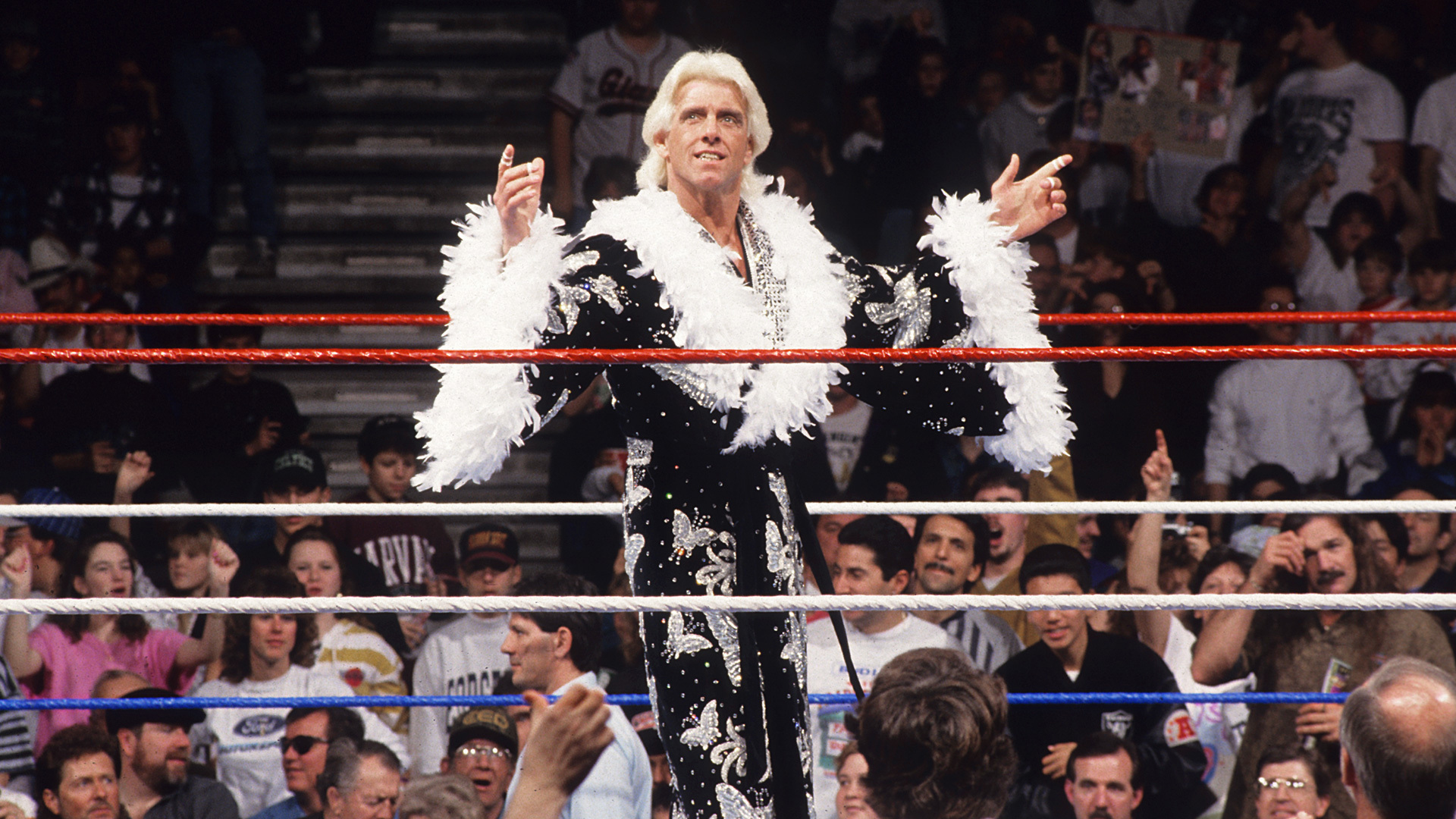Ric Flair - Gallery 1